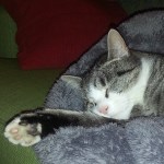 2014-12-08_1418066953