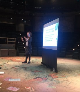 me presenting at CRMSS17